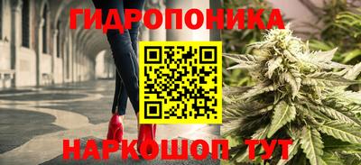 винт Бийск