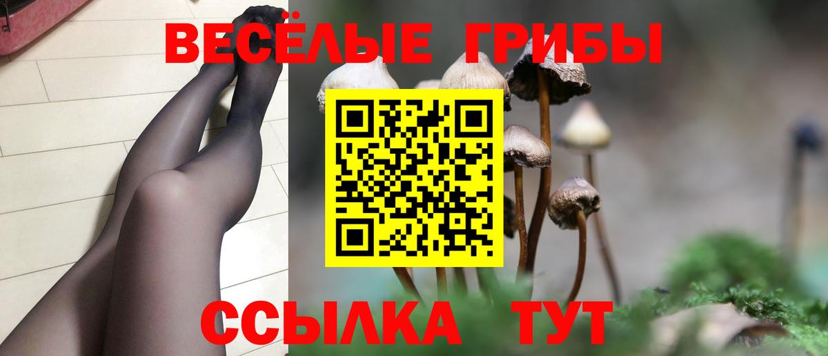 Выборг  Галлюциногенные грибы MAGIC MUSHROOMS  Вход с VPN 